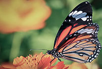 短信压力测试器